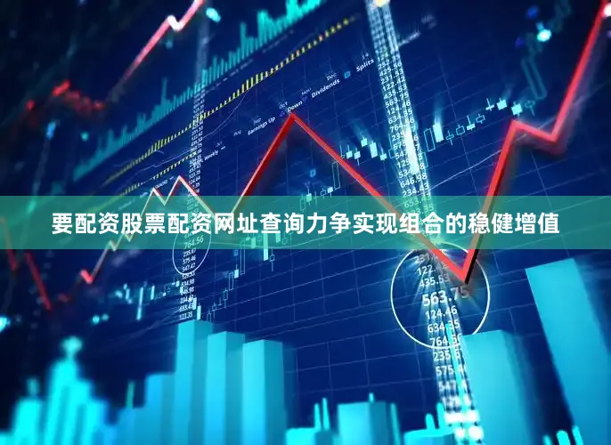要配资股票配资网址查询力争实现组合的稳健增值